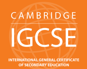 IGCSE English LANGUAGE (Cambridge) Monday 11am (age guide 14 - 16)