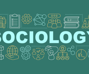 GCSE Sociology (AQA) - Friday 12pm (age guide 14 - 16)