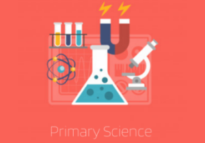 Primary Science including human biology Thursday 12pm (age guide 9 – 11)