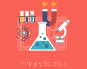 Primary Science including Human Biology Thursday 10am (age guide 6 - 9)