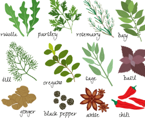 Herbalism for Beginners Friday 12pm (age guide 9 - 16)