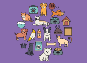 Animal Care Club Friday 11am (age guide 5 – 12)