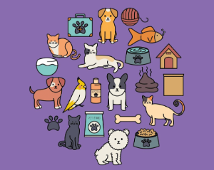 Animal Care Club Friday 11am (age guide 5 - 12)